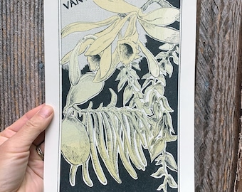 May include: A vintage botanical print featuring a detailed illustration of vanilla plant, including flowers, leaves, and seed pods. The word "VANILLA" is printed at the top. The artwork is in shades of cream, green, and black, with a dark background.