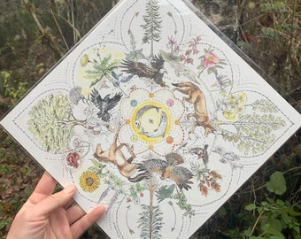 May include: A square art print featuring a detailed illustration of various animals, plants, and celestial elements. The artwork includes an eagle, fox, fish, and other flora and fauna, arranged in a circular design with arrows and dotted lines. The print is held in a clear plastic sleeve.