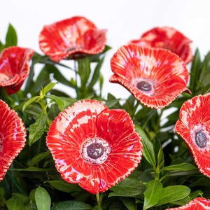 Ceramic Handmade Poppy