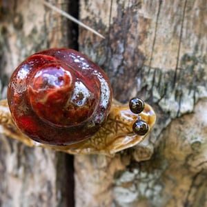 May include: A ceramic snail figurine with a brown shell and red accents. The snail has black eyes and is perched on a piece of weathered wood.