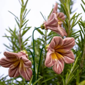 May include: A set of three pink and yellow ceramic flowers with green stems. The flowers are arranged in a bouquet and are set against a background of green rosemary.