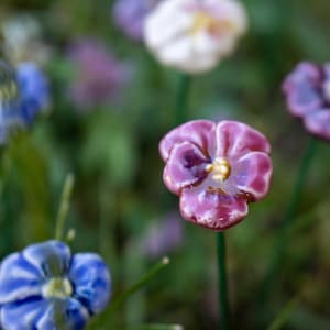 Puede incluir: Primer plano de una flor de cerámica púrpura y blanca con un centro amarillo. La flor está en un tallo verde y rodeada de otras flores.