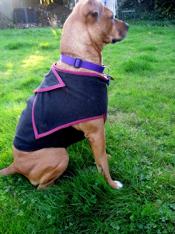 Items similar to Fleece dog vest made to order on Etsy