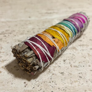 Bâtonnet de tache de sauge blanche pour chakras arc-en-ciel : lot de produits nettoyants de source éthique