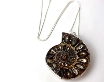 May include: A silver chain necklace with a large, brown ammonite fossil pendant. The fossil is polished and has a spiral pattern.