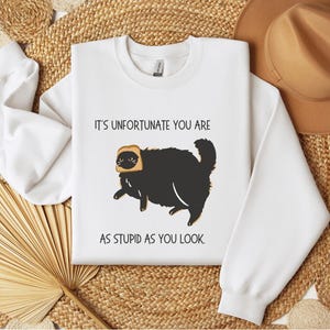 Funny fat Black Cat Lover Sweatshirt, Cat Mom sweater, Fat Black cat shirt, Black Cat Society, Cute Black cat crewneck, Gift for cat Lovers