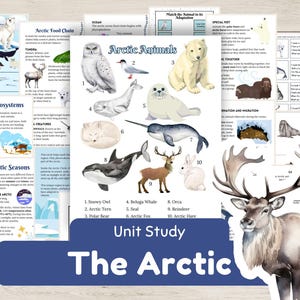Estudio de unidad sobre el Ártico con pasajes de comprensión y hojas de trabajo, póster y tarjetas didácticas sobre animales del Ártico: perfecto para la educación en el hogar o en el aula
