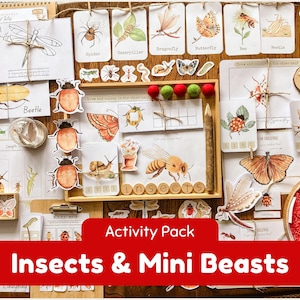 Cartes flash insectes et pack d'activités Design aquarelle Mini bête avec sons du début Coloriages insectes Tri d'animaux