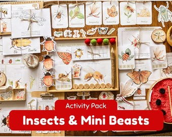 Op de afbeelding: Een activiteitenpakket om te leren over insecten en kleine beestjes. Het pakket bevat kleurrijke kaarten met illustraties van verschillende insecten, zoals een vlinder, libel, bij en kever. De kaarten bevatten ook de namen van de insecten en sommige hebben activiteiten om te voltooien.