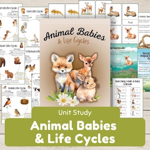 Ciclos de vida de los bebés animales: Unidad de estudio de primavera. Emparejamiento de animales, madre y bebé, tarjetas de 3 partes, hojas de trabajo de comprensión: Granja, Bosque, Aves, Insectos