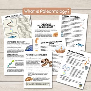 May include: An educational poster titled "What is Paleontology?" with diagrams and text explaining the field. Includes tools, fossil types, and modern technology used in paleontology. Features a dinosaur skeleton illustration.