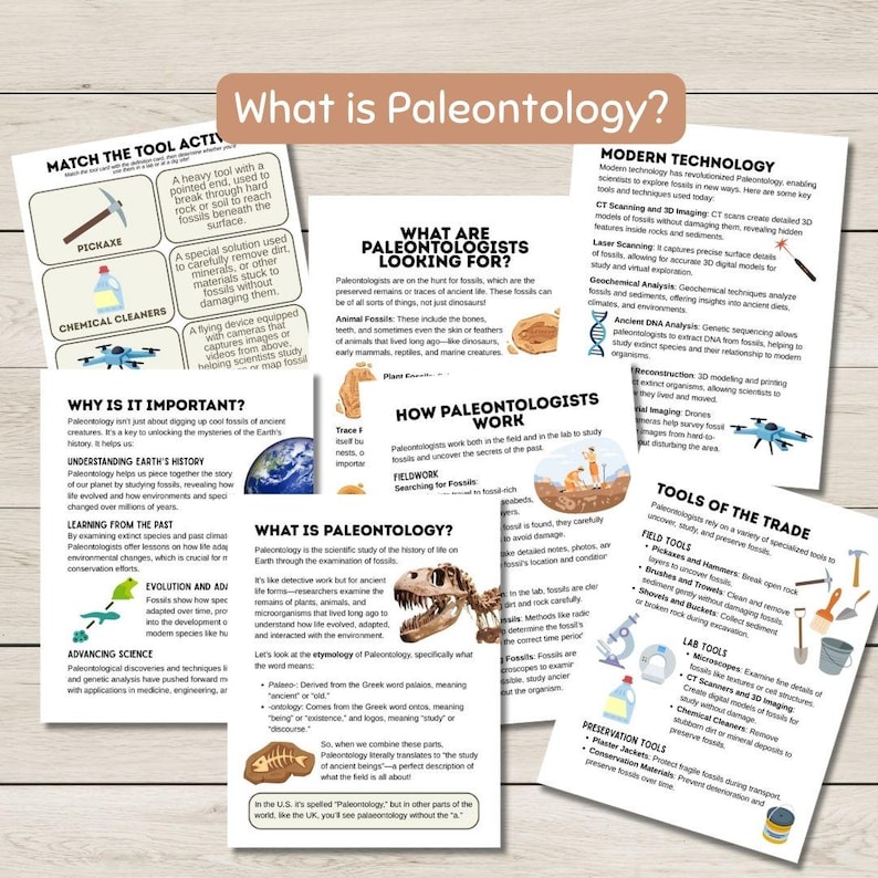 May include: An educational poster titled "What is Paleontology?" with diagrams and text explaining the field. Includes tools, fossil types, and modern technology used in paleontology. Features a dinosaur skeleton illustration.