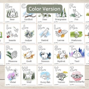 K&ouml;nnte beinhalten: Ein Satz von 26 Alphabet-Flashcards mit Schwarzwei&szlig;illustrationen von Objekten zum Thema Natur. Jede Karte hat einen Buchstaben, das Wort "f&uuml;r" und den Namen des Objekts. Die Karten sind in alphabetischer Reihenfolge angeordnet.