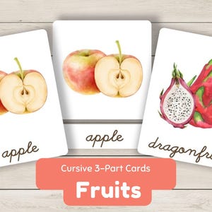 Schede didattiche di frutta in corsivo Schede Montessori in 3 parti Nomenclatura Vocabolario per bambini piccoli