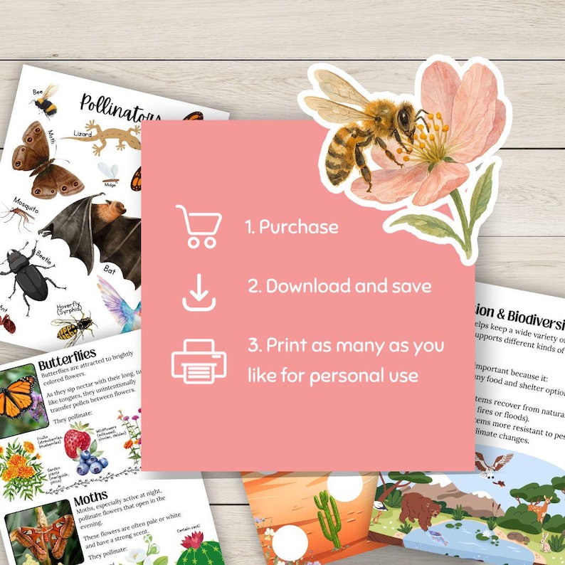 Pollination Unit Study Worksheets, Activities, 100+ Page Elementary ...