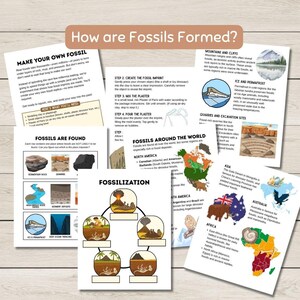 May include: Educational printables titled "How are Fossils Formed?" with diagrams and instructions for making fossils. Includes information on fossilization, fossil locations, and a map of fossil-rich areas. The pages are white with colourful illustrations.