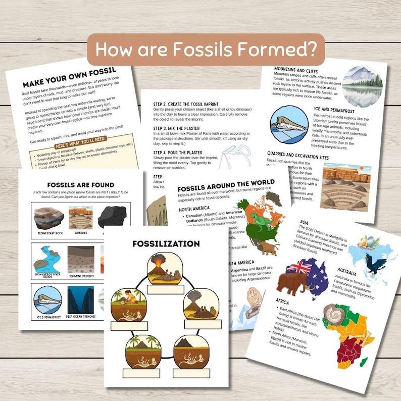 May include: Educational printables titled "How are Fossils Formed?" with diagrams and instructions for making fossils. Includes information on fossilization, fossil locations, and a map of fossil-rich areas. The pages are white with colourful illustrations.