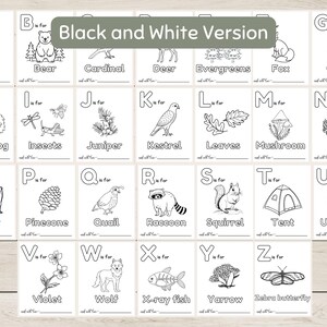 K&ouml;nnte beinhalten: Schwarz-wei&szlig;e Alphabet-Karteikarten mit Illustrationen von Tieren, Pflanzen und Objekten. Jede Karte hat einen Buchstaben, das Wort "ist f&uuml;r" und den Namen des abgebildeten Gegenstands.