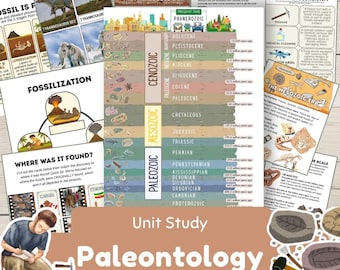 Op de afbeelding: Educatief materiaal over paleontologie met diagrammen van fossielen, geologische tijdperken en gereedschappen. De afbeelding bevat de tekst "Unit Study Paleontology". Afmetingen zijn in cm.