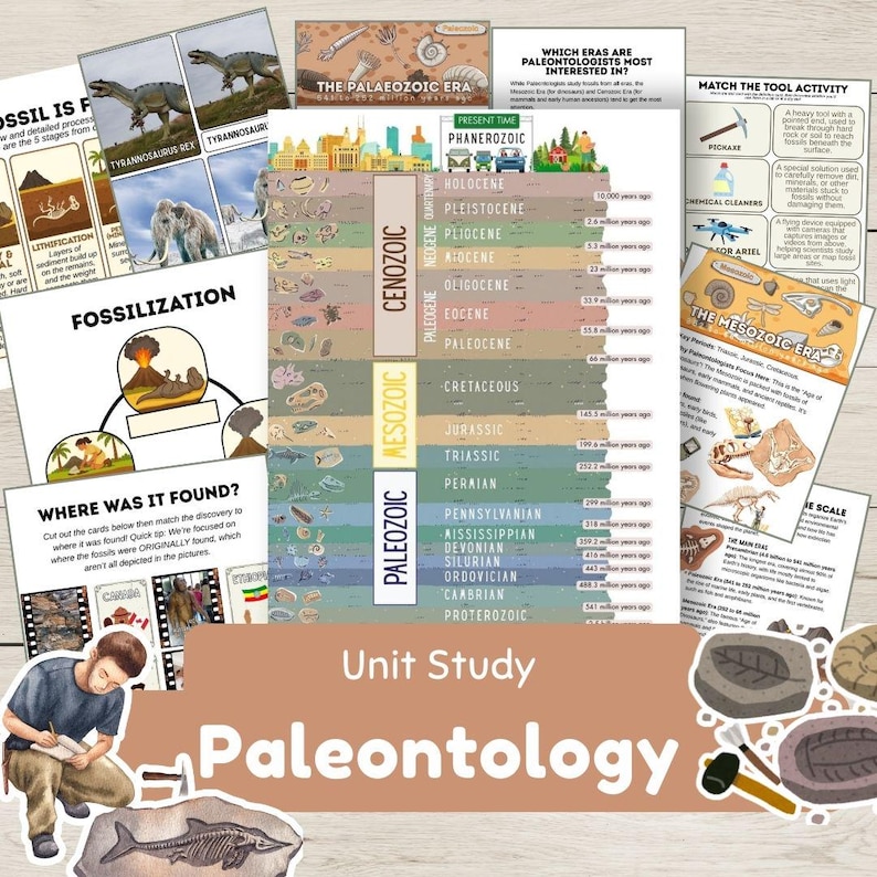 May include: Educational paleontology materials featuring diagrams of fossils, geological eras, and tools. The image includes the text "Unit Study Paleontology". Measurements are in cm.