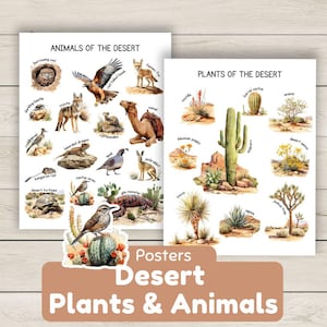 Set di poster educativi sugli animali e le piante del deserto, decorazioni per la scuola domestica, studio della natura, arte murale del deserto, unità sui biomi