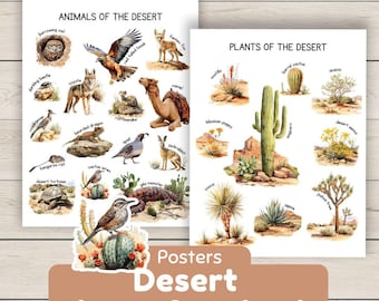 Desert Animals and Desert Plants educational poster set, homeschool decor, nature study, desert wall art, Biomes unit