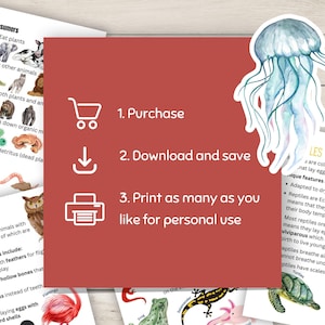 Pode incluir: Um fundo vermelho com texto branco que diz "1. Comprar", "2. Baixar e salvar", e "3. Imprimir quantas quiser para uso pessoal". H&aacute; um &iacute;cone de carrinho de compras, um &iacute;cone de seta de download e um &iacute;cone de impressora ao lado de cada instru&ccedil;&atilde;o. H&aacute; uma ilustra&ccedil;&atilde;o de &aacute;gua-viva no canto superior direito.