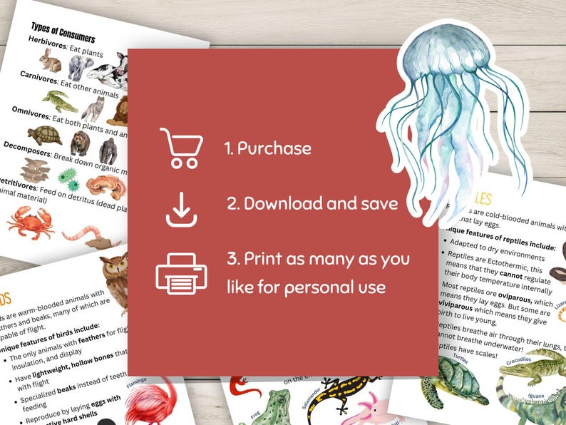 Pode incluir: Um fundo vermelho com texto branco que diz "1. Comprar", "2. Baixar e salvar", e "3. Imprimir quantas quiser para uso pessoal". H&aacute; um &iacute;cone de carrinho de compras, um &iacute;cone de seta de download e um &iacute;cone de impressora ao lado de cada instru&ccedil;&atilde;o. H&aacute; uma ilustra&ccedil;&atilde;o de &aacute;gua-viva no canto superior direito.