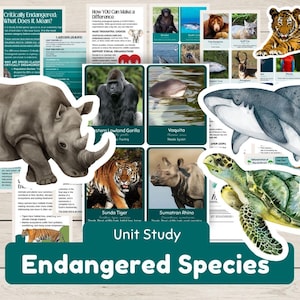 Unité Animaux en voie de disparition Passages de compréhension d'étude, feuilles de travail, activités et cartes-éclair sur les espèces en voie de disparition - Unité de sciences pour l'école à la maison