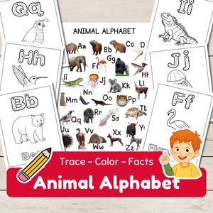 Op de afbeelding: Educatieve dierenalfabet flashcards met illustraties van dieren en letters. De kaarten tonen de tekst "Animal Alphabet" en "Trace - Color - Facts". De afbeelding bevat een potlood en een cartoon illustratie van een kind.
