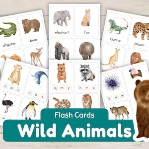 Op de afbeelding: Een set kleurrijke flitskaarten met aquarel illustraties van wilde dieren, waaronder een alligator, een beer, een olifant, een vos, een leguaan, een jaguar, een kangoeroe, een leeuw, een aap, een narwal, een struisvogel, een pinguïn, een wasbeer, een tijger, een wolf en een zee-egel. De kaarten zijn gelabeld met de naam van het dier en hebben lettertegels voor spellingsoefeningen.