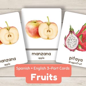 Bilingual Fruit Flashcards English and Spanish Montessori 3-Part Cards Nomenclature Toddler Vocabulary