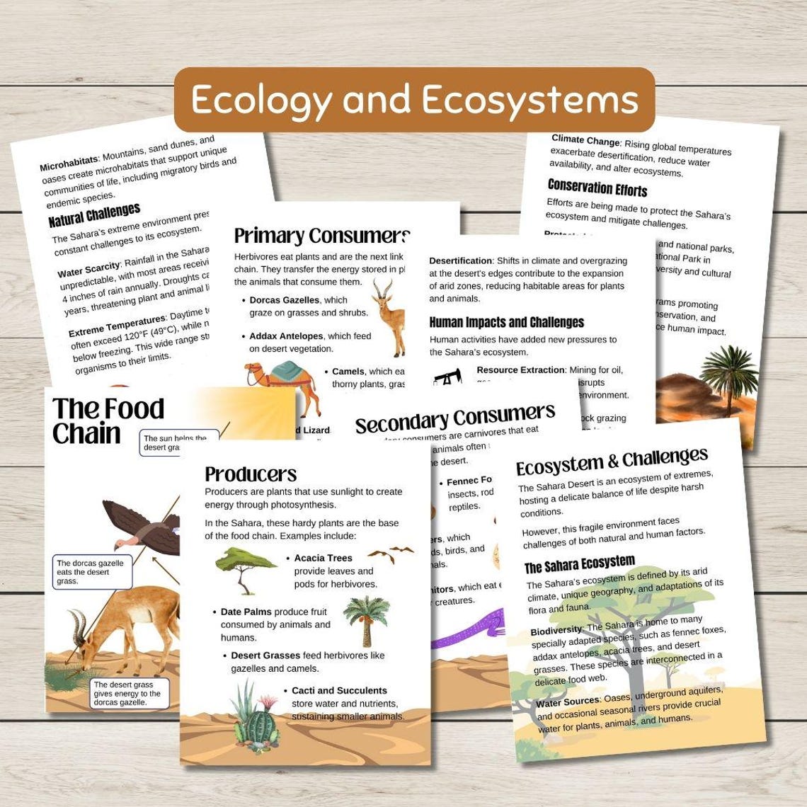 Sahara Desert Unit Study- Explore This Desert Biome's Geography ...