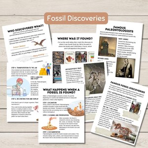 May include: Educational poster titled "Fossil Discoveries" with text and illustrations about paleontology. Includes sections on famous paleontologists, fossil excavation, and the discovery of fossils like Archaeopteryx and Sue the T. Rex.