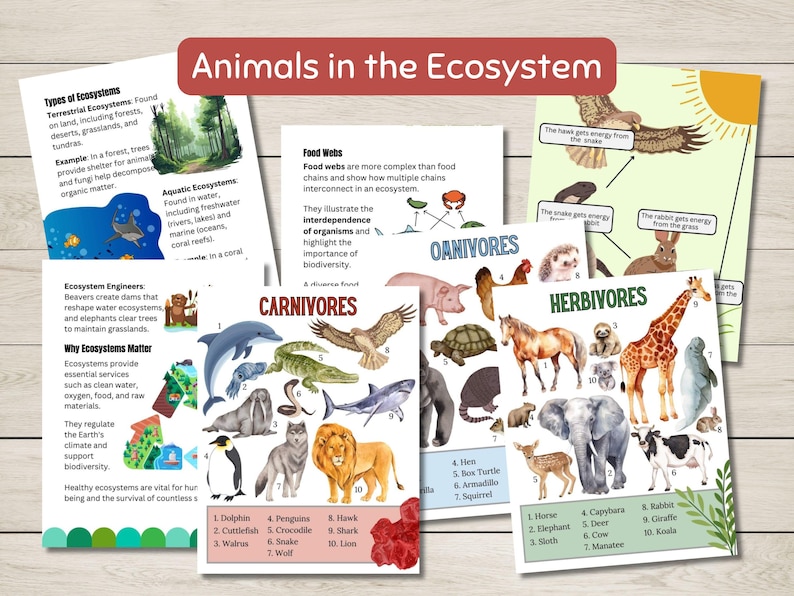 Pode incluir: Cartazes educativos coloridos sobre os animais no ecossistema. Os cartazes apresentam ilustra&ccedil;&otilde;es de diferentes animais, incluindo um golfinho, um pinguim, um falc&atilde;o, um tubar&atilde;o, um le&atilde;o, uma galinha, uma tartaruga terrestre, um tatu, um esquilo, um cavalo, um elefante, um bicho-pregui&ccedil;a, um capivara, um veado, uma vaca, um peixe-boi, um coelho, uma girafa e um coala. Os cartazes tamb&eacute;m incluem texto sobre as teias alimentares, os carn&iacute;voros, os on&iacute;voros e os herb&iacute;voros.