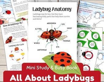 Ladybug Unit Study and Busy Book Homeschool Spring Printables Nature Study Anatomy of a Ladybug Life Cycle Ladybird Study Pack