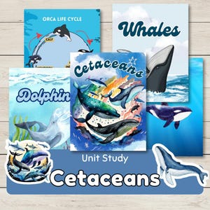 May include: A collection of educational cetacean-themed prints and stickers. The prints feature watercolor illustrations of whales, dolphins, and orcas, with titles like "Orca Life Cycle" and "Whales." The sticker says "Cetaceans" and "Unit Study".