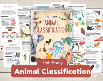 Studiewerkbladen dierclassificatie, activiteiten, met klassen van gewervelde en ongewervelde dieren, diëten van dieren Thuisonderwijs Wetenschap