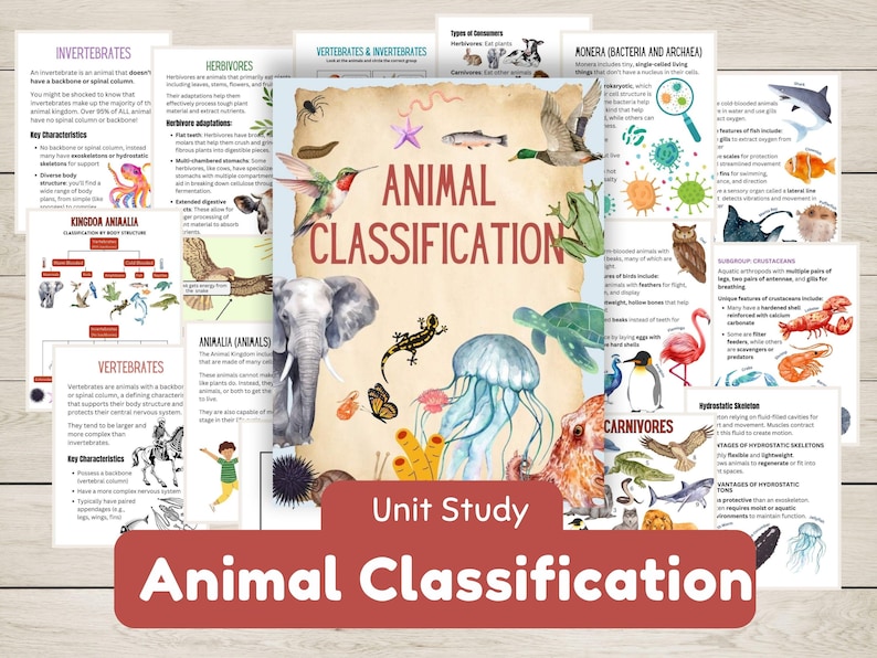 Pode incluir: Um gr&aacute;fico educativo colorido com ilustra&ccedil;&otilde;es de v&aacute;rios animais, incluindo um beija-flor, um elefante, uma &aacute;gua-viva e um polvo. O gr&aacute;fico &eacute; intitulado "Classifica&ccedil;&atilde;o de animais" e inclui o texto "Estudo de unidade".