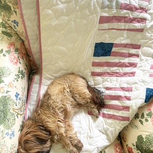 Amerikanische Flagge Quilt Digitales Muster PDF Bild 3