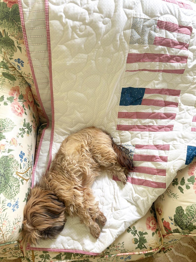 Amerikanische Flagge Quilt Digitales Muster PDF Bild 3