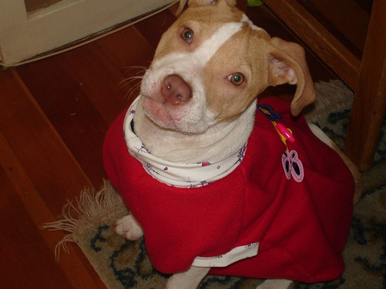 Red Sherlock Holmes Coat for Pup