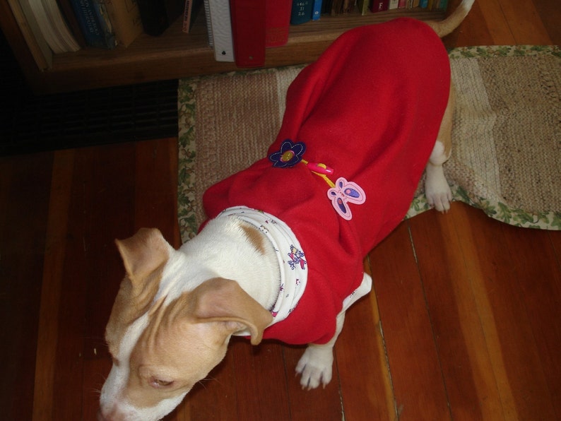 Red Sherlock Holmes Coat for Pup