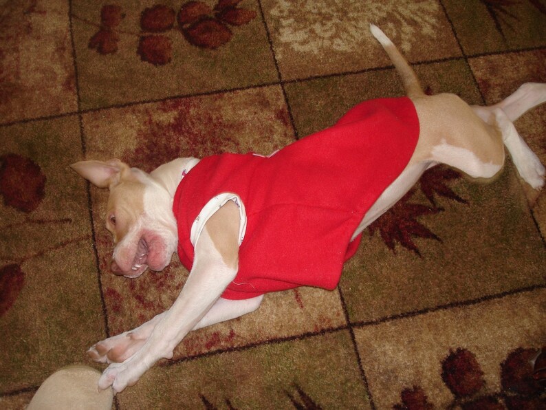 Red Sherlock Holmes Coat for Pup