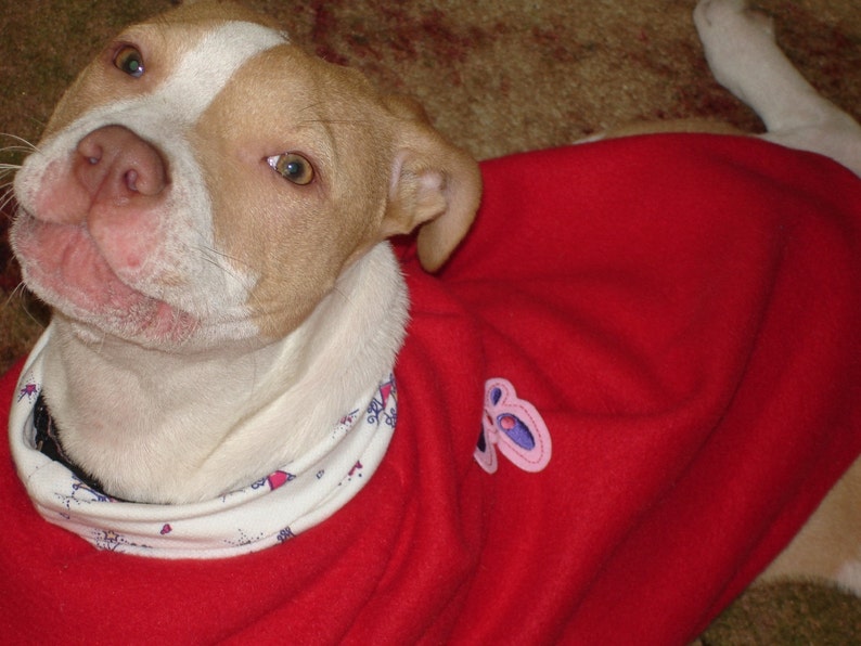 Red Sherlock Holmes Coat for Pup