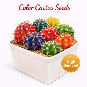 Semillas de cactus de colores, suculentas de estilo abigarrado para jardín de interior, paquete de semillas de fácil cultivo para macetas o jardineras, regalo divertido para amantes de las plantas.