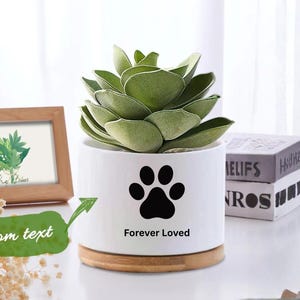 Puede incluir: Maceta de cerámica blanca con una huella de pata negra y la frase "Forever Loved". La maceta contiene una planta suculenta verde y descansa sobre una base de madera. Una foto enmarcada y libros se encuentran en el fondo.