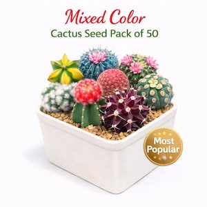 Mixed Color Cactus Seed Pack of 50, Indoor Garden Starter Set, Easy Grow Seeds for Pots or Planters Fun DIY Gift for Plant Lovers