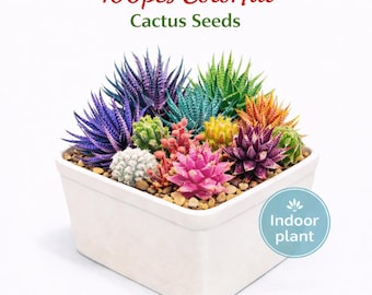 100pcs Colorful Cactus Seeds, Mixed Blossom Cactus Seeds, Rainbow Succulent Seeds, Easy Growing Indoor Garden Decor