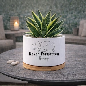 May include: A white ceramic plant pot featuring a sleeping cat design and the words "Never Forgotten Daisy". It contains a snake plant with green and yellow striped leaves. The pot rests on a wooden base.